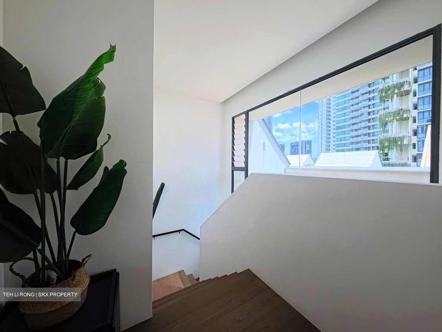 10 Evelyn (D11), Apartment #537921491